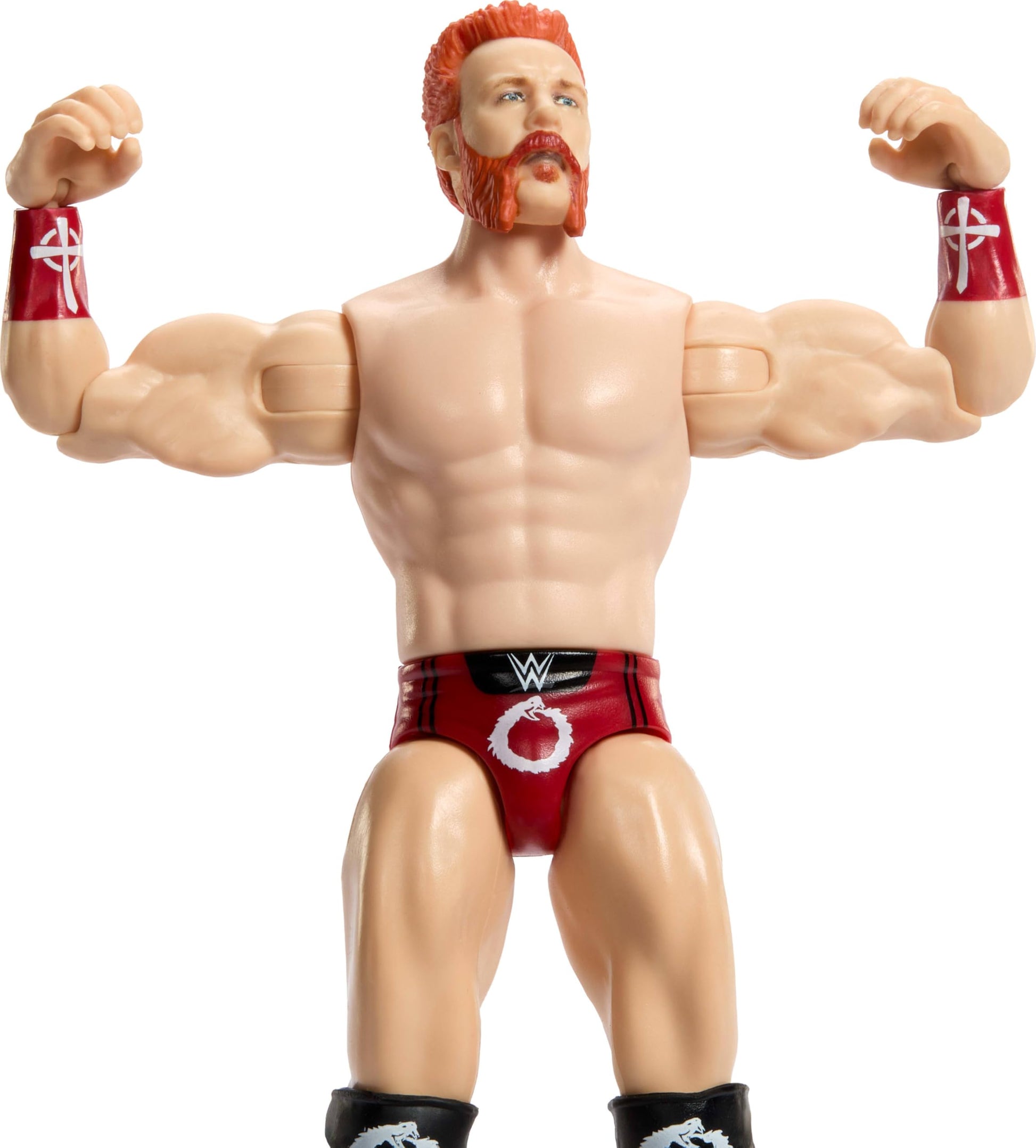 Mattel WWE SheamusPlay & Display Action Figure