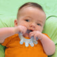 Green Sprouts Cooling Teether (2 Pack) Soothes Gums & Promotes Healthy Oral Development Safer Plastic Filled with Sterilized Water, Chill for Extra