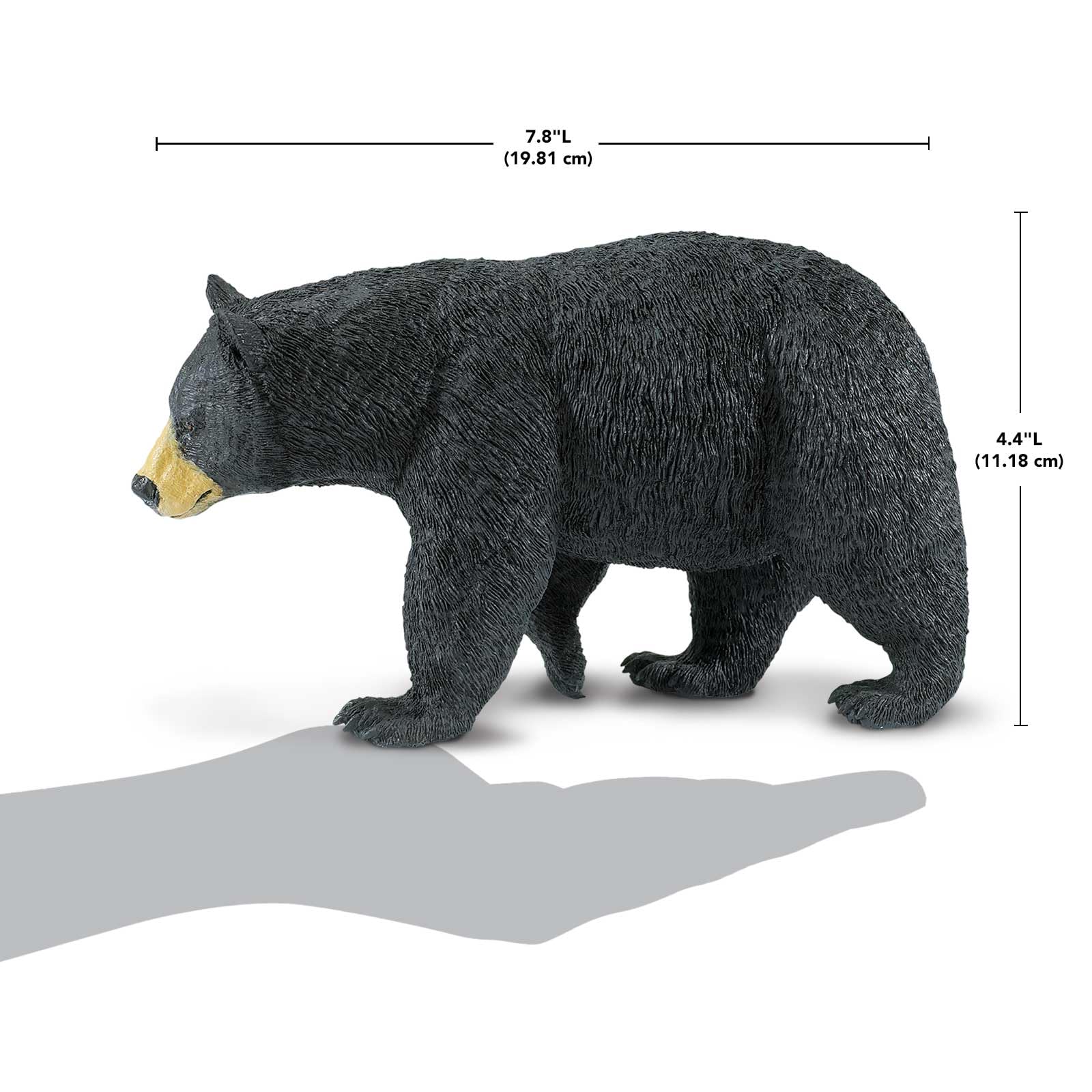 Safari Ltd. North American Black Bear Toy Figurine - Detailed 7.4" Plastic Model Figure - Fun Educational Play Toy for Boys, Girls & Kids Ages 1+