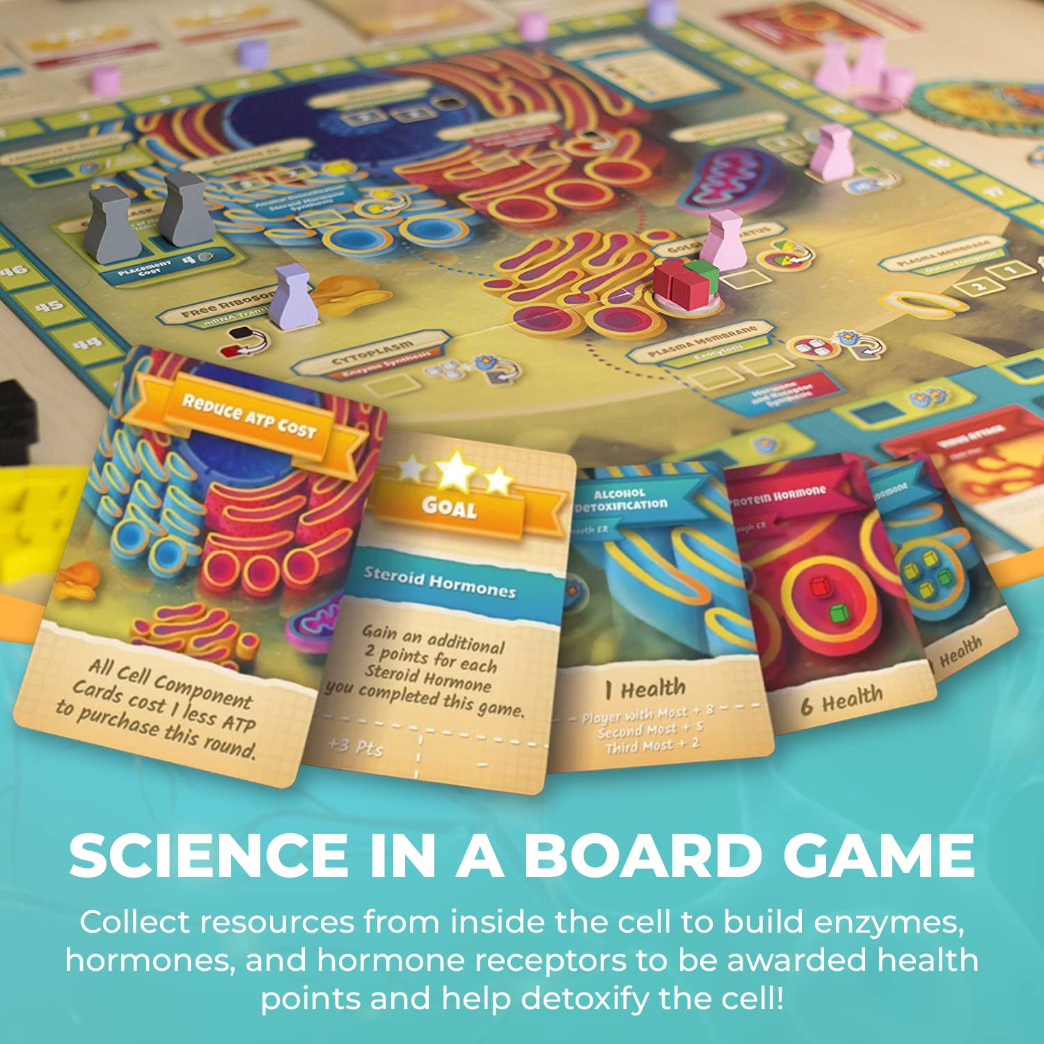 Cytosis: A Cell Biology Board Game | A Science Accurate Strategy Board Game About Building Proteins, Carbohydrates, Enzymes, Organelles, & Membranes |