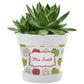 DIY Craft Flower Pot