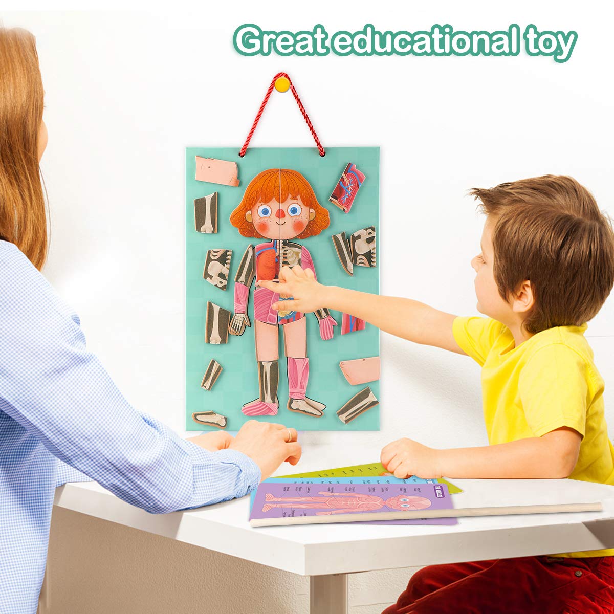 Human Body Puzzle for Kids Toddlers 90PCS Magnetic Boy Girl Anatomy Play Set Body Parts Organs Muscles Skeleton and Bones Wooden Puzzle Toys Aged 3+