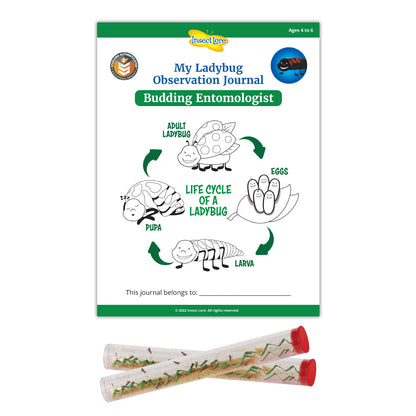 Insect Lore Two Tubes of Ladybug Larvae with STEM Activity Journal - Raise, Observe and Release Pink Spotted Ladybugs - Grown in The USA - Ladybug Kit