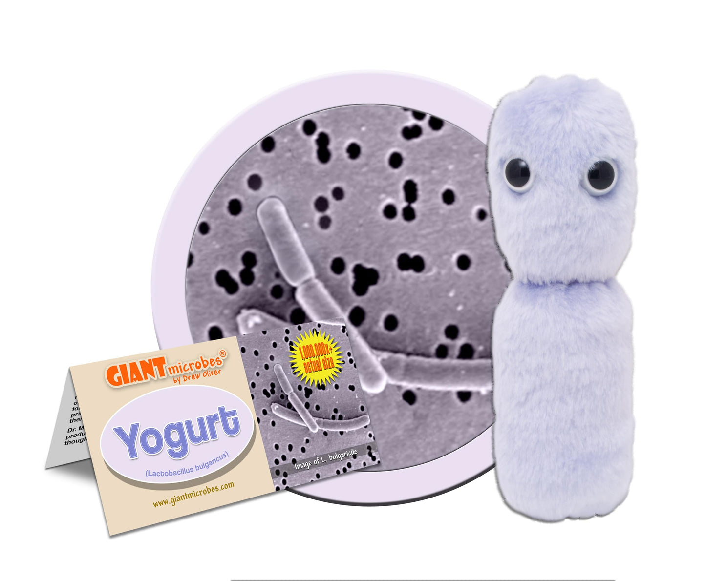 GIANT MICROBES Yogurt Plush - Learn About Probiotics and the Gut Microbiome with This Educational Gift for Foodies, Doctors, Students, Scientists