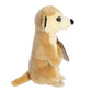 Aurora Eco Nation Eco Softies 8" Meerkat Responsibly Made Stuffed Animal