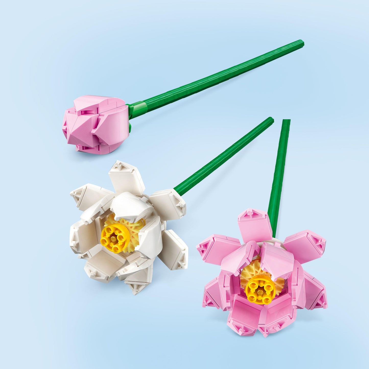 LEGO Lotus Flower - Building Toy for Kids, Girls & Boys, Ages 8+ - Artificial Lotus Flowers for Home Decor & Display - Creative Gift Idea for Her