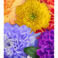Ceaco Flower Spectrum 300 PC Puzzle