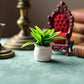 Miniature Plant Accessory, Green Potted Plant, 1:12 Scale, Suitable for Home and car Decoration