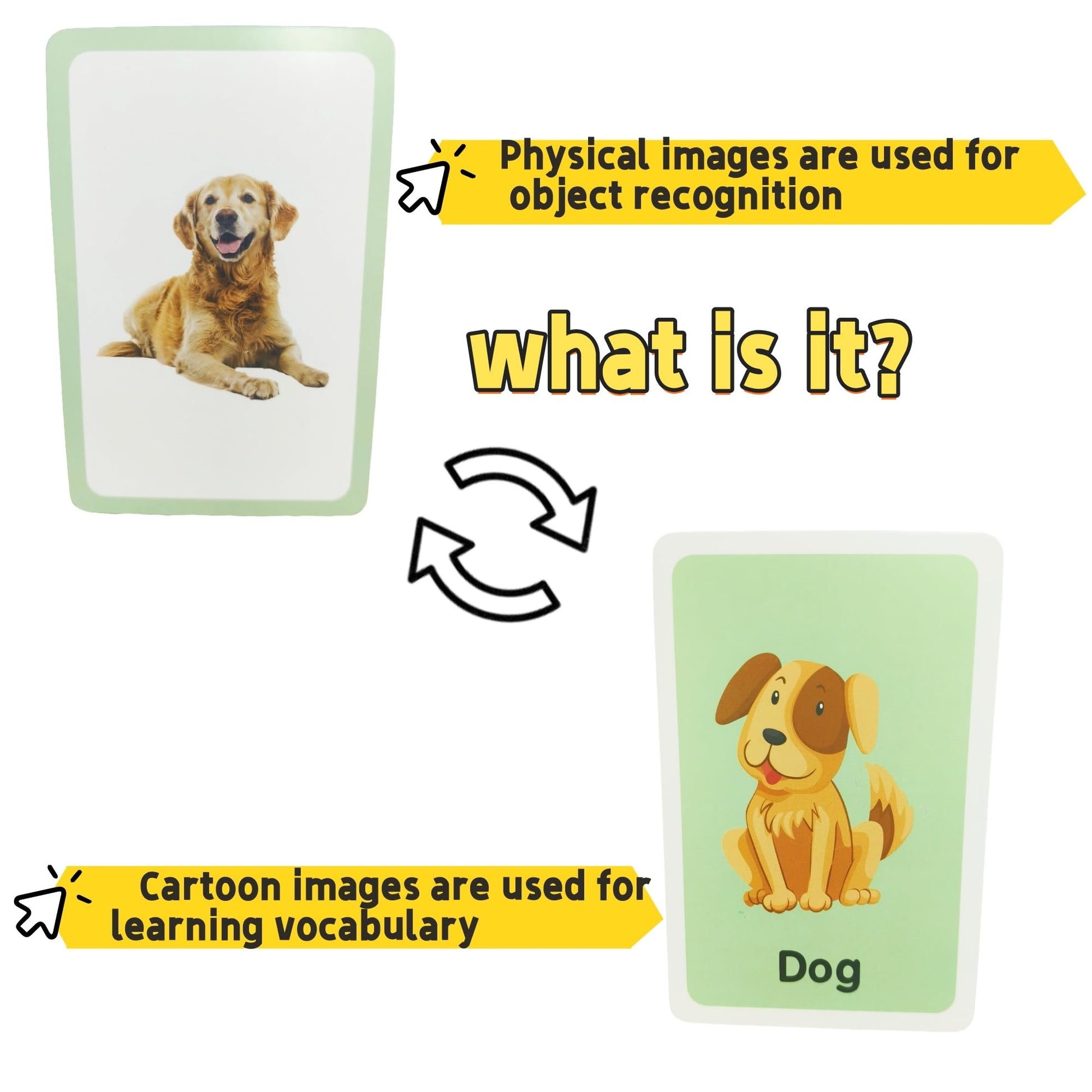 Flash Cards for Toddlers, Educational Learning Set of 144, Body Animal Food Fruit Cards, Ages 3-6, Montessori Preschool Learning Toys for Kindergarten