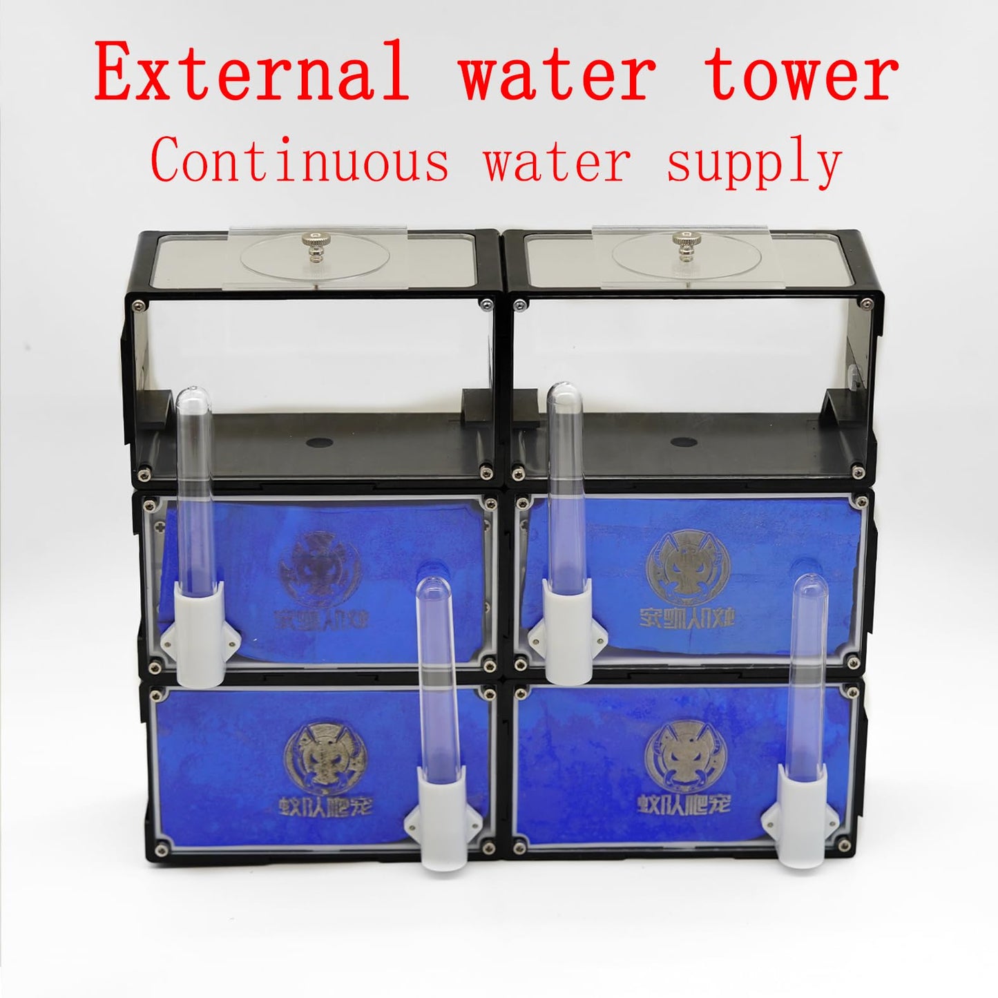 Ant Nest Unlimited Connection Adult Ant Farm Acrylic Transparent Observation Behavior Research Live Ant and Queen Education Suitable for Children