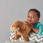 Wild Republic Walrus Plush, Stuffed Animal, Plush Toy, Gifts for Kids, Cuddlekins 12 Inches