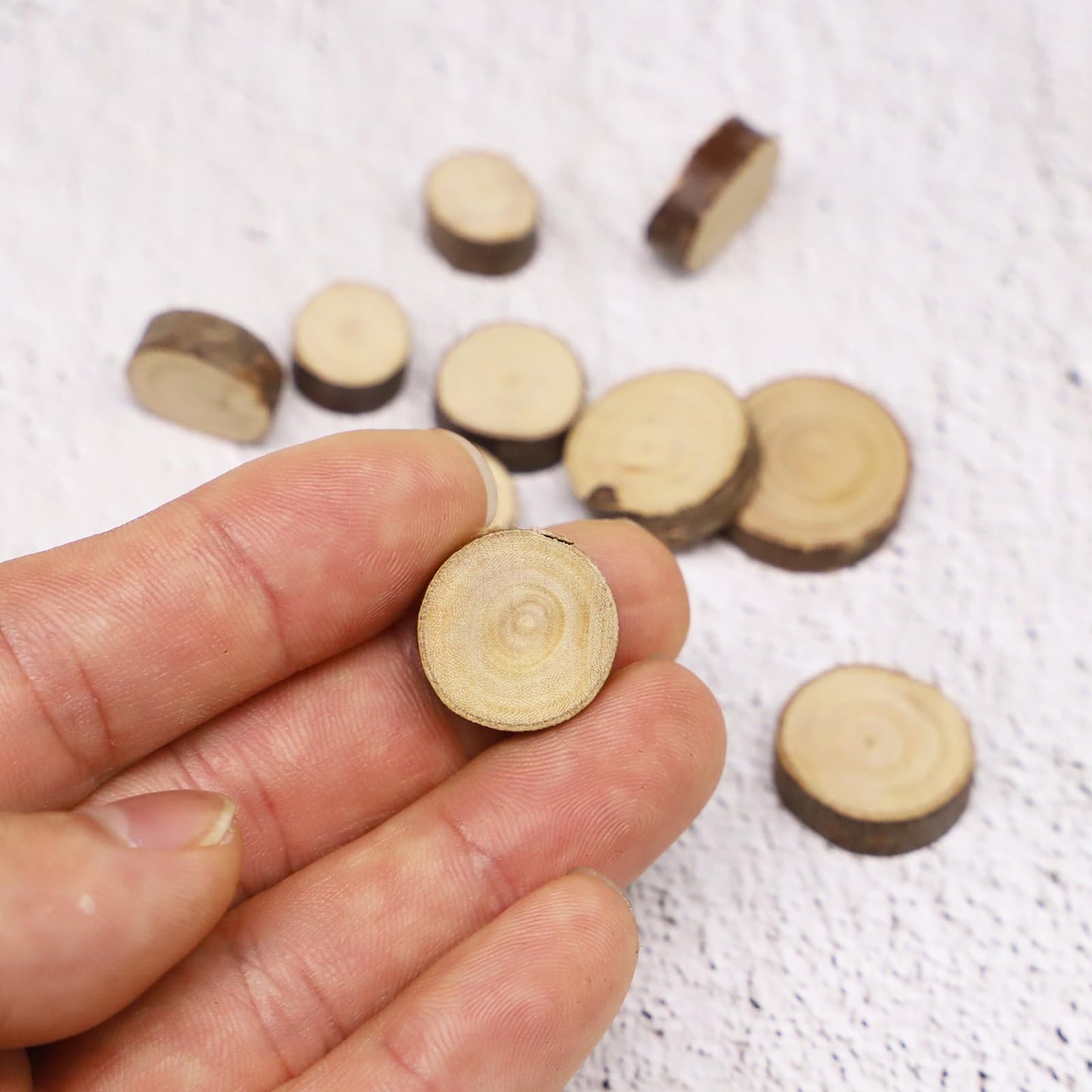 Aorvoras Miniature Wooden Stepping Stones, 10PCS, Natural Real Wood Slices, Brown, Rustic/Natural, 1:12 Scale, For Miniature Fairy Garden, Gnome