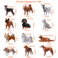 HOMNIVE Dog Figures for Kids, 12pcs Plastic Realistic Puppy Figurines, Small Dog Cake Topper, Learning Educational Toys for Christmas Birthday Gift