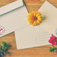 250 No Bullies Stickers - Make A Difference Anti-Bullying Awareness for Schools, Events, and Campaigns - Bold Design for Positive Impact - 1 Roll/250