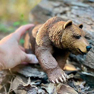 Safari Ltd. Grizzly Bear Figure - Realistic 9" Brown Bear Model - Educational Toy for Boys, Girls, and Kids Ages 1+