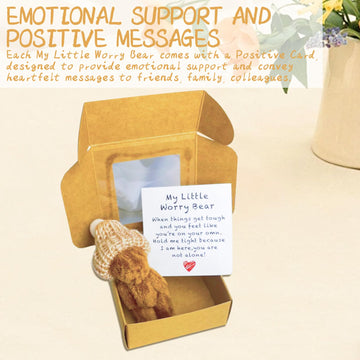 Roioiow 2Pack My Little Worry Bear Plush Teddy with Greeting Card and Box - Emotional Support Relationship Gift for Friends, Family, Colleagues