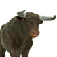 Safari Ltd. Black Bull Figurine - Detailed 6" Plastic Model Figure - Fun Educational Play Toy for Boys, Girls & Kids Ages 3+