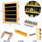 Solentra 30 Coin Cabinet - Wooden Coin Display Case with 30 Slots and Clear Acrylic Cover - Collectible Coin Storage Box in Cherry or Oak Color (Oak)