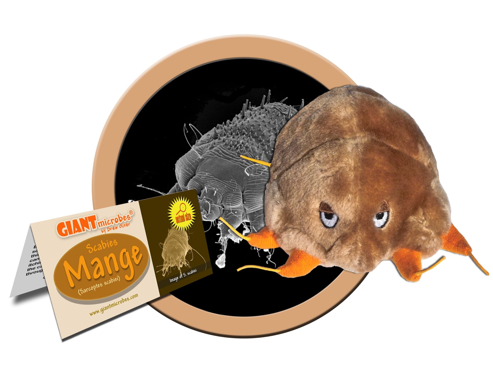 GIANTmicrobes Mange Plush - Learn about Mites and How They Cause Skin Disease, with this Educational Gift for Friends, Veterinarians, Educators, Pet