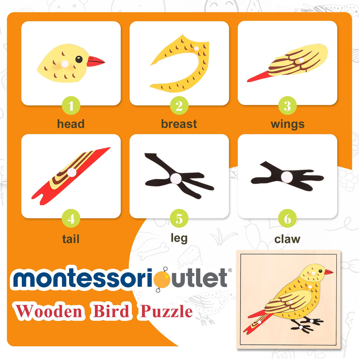 Montessori Bird Anatomy Puzzle, Wooden Body Parts Learning Toy, Preschool Science Puzzle for Kids Ages 3-6, Classroom & Homeschool, Baltic Birch