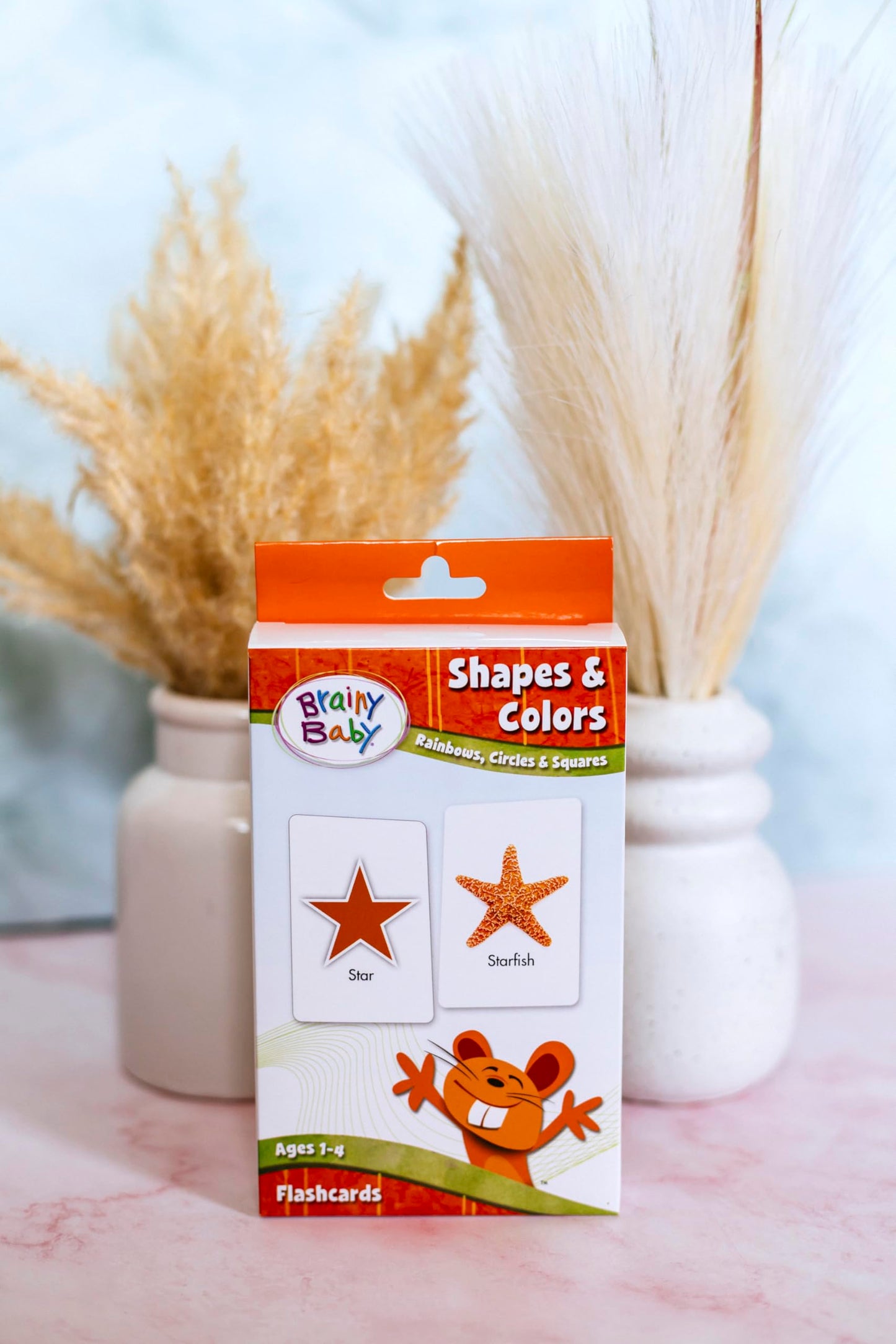 Brainy Baby Animals Flashcards and Shapes & Colors Flashcards Deluxe Edition Set of 2