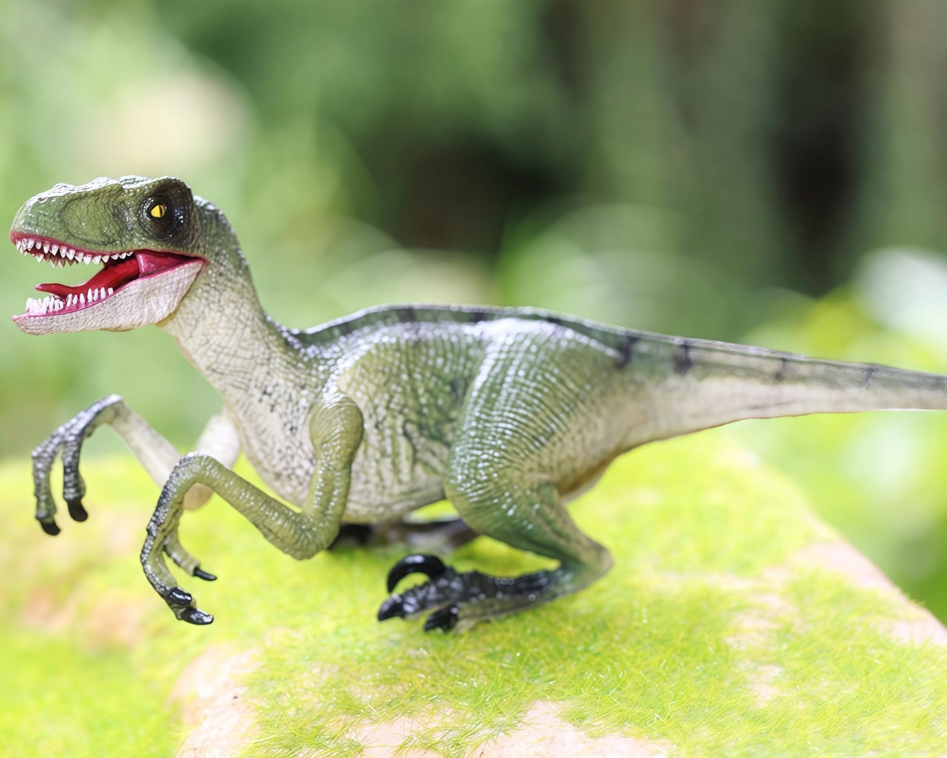 Gemini&Genius Velociraptor Dinosaur Toy for Kids, Realistic Velociraptor Dino, Detail Raptor Action Figure, Gift and Dinos World Collection Toy