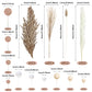 50 PCS Boho Cake Toppers Mini Balls Cake Topper Various Dried Pampas Grass Cake Decor for Boho Home Wedding Cake Decoration (White Apricot Light