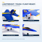 Trublismel Remote Control Airplane for Adults Beginners,2 Channel RC Airplane Wireless Foam Glider with 2 Batteries,RC Planes for Teen 14 and Up