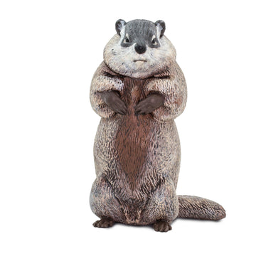 Safari Ltd. Groundhog - Lifelike 4.5" Model Figure - Educational Toy for Boys, Girls and Kids Ages 18 Months +