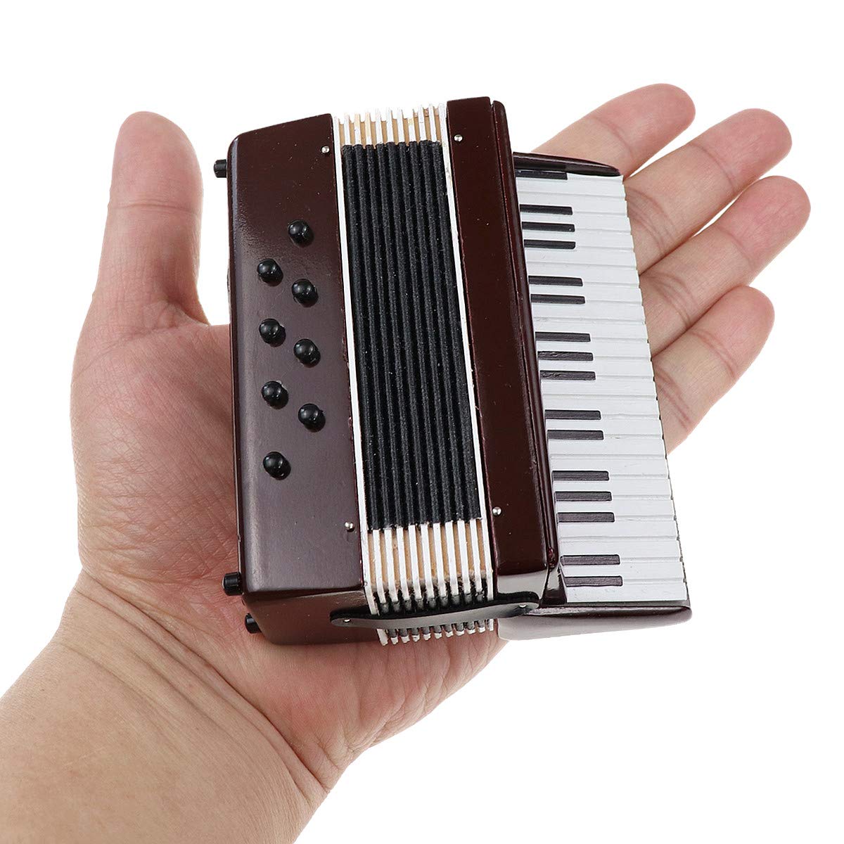 Dselvgvu Miniature Accordion with Case Mini Musical Instrument Accordion Replica Collectible Figurines Dollhouse Accessories Model Home Decoration