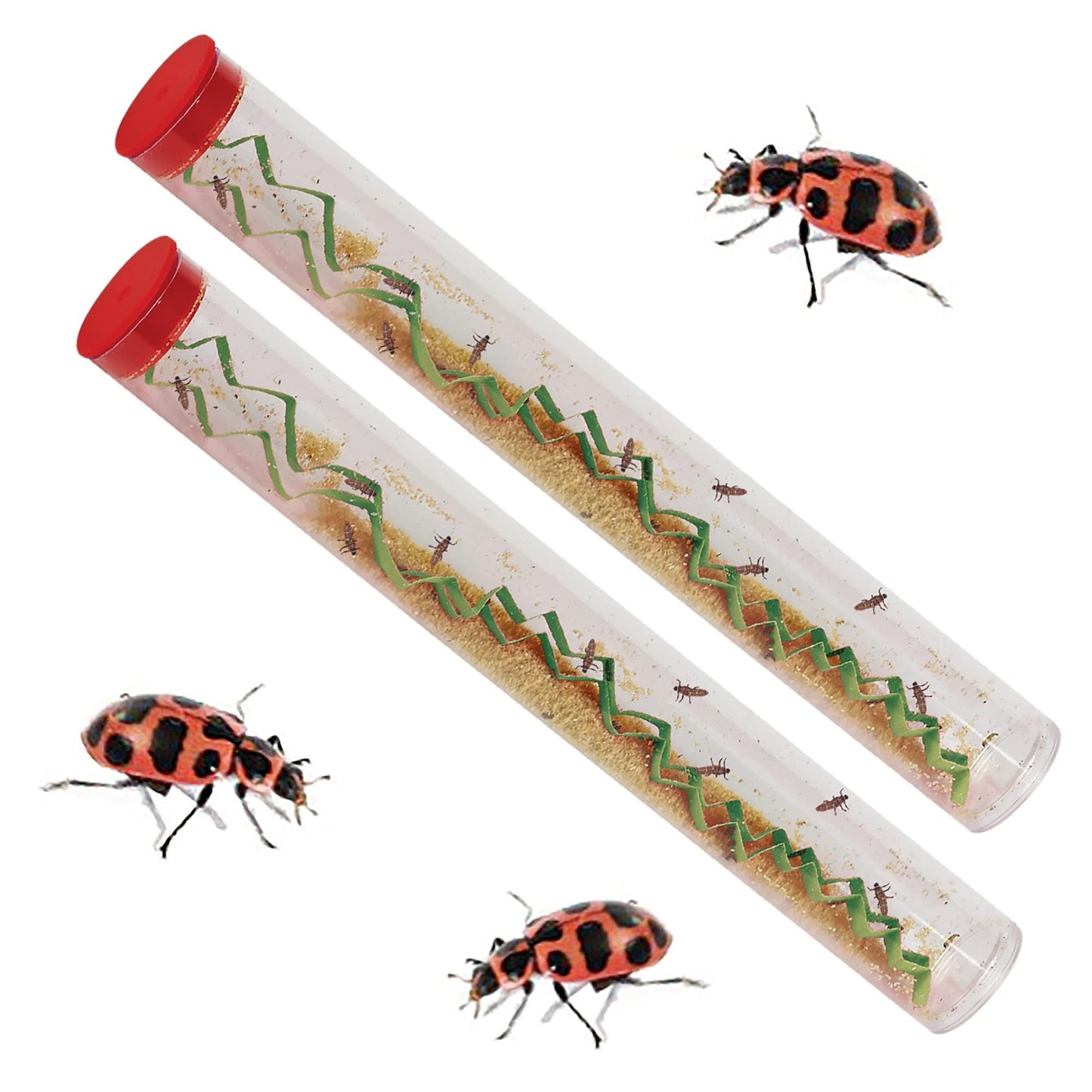 Insect Lore Two Tubes of Ladybug Larvae with STEM Activity Journal - Raise, Observe and Release Pink Spotted Ladybugs - Grown in The USA - Ladybug Kit