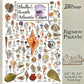Heritage Puzzle - Shells of The South Atlantic Coast by John & Jackie Leatherbury Douglass 550 Piece Puzzles for Adults - Marine Life Art - Frameable