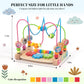 Bead Maze for Babies, Wooden Educational Abacus Beads Circle Toddler Toys - Colorful Roller Coaster Activity Game,Great Gift for Babies Toddlers Girls