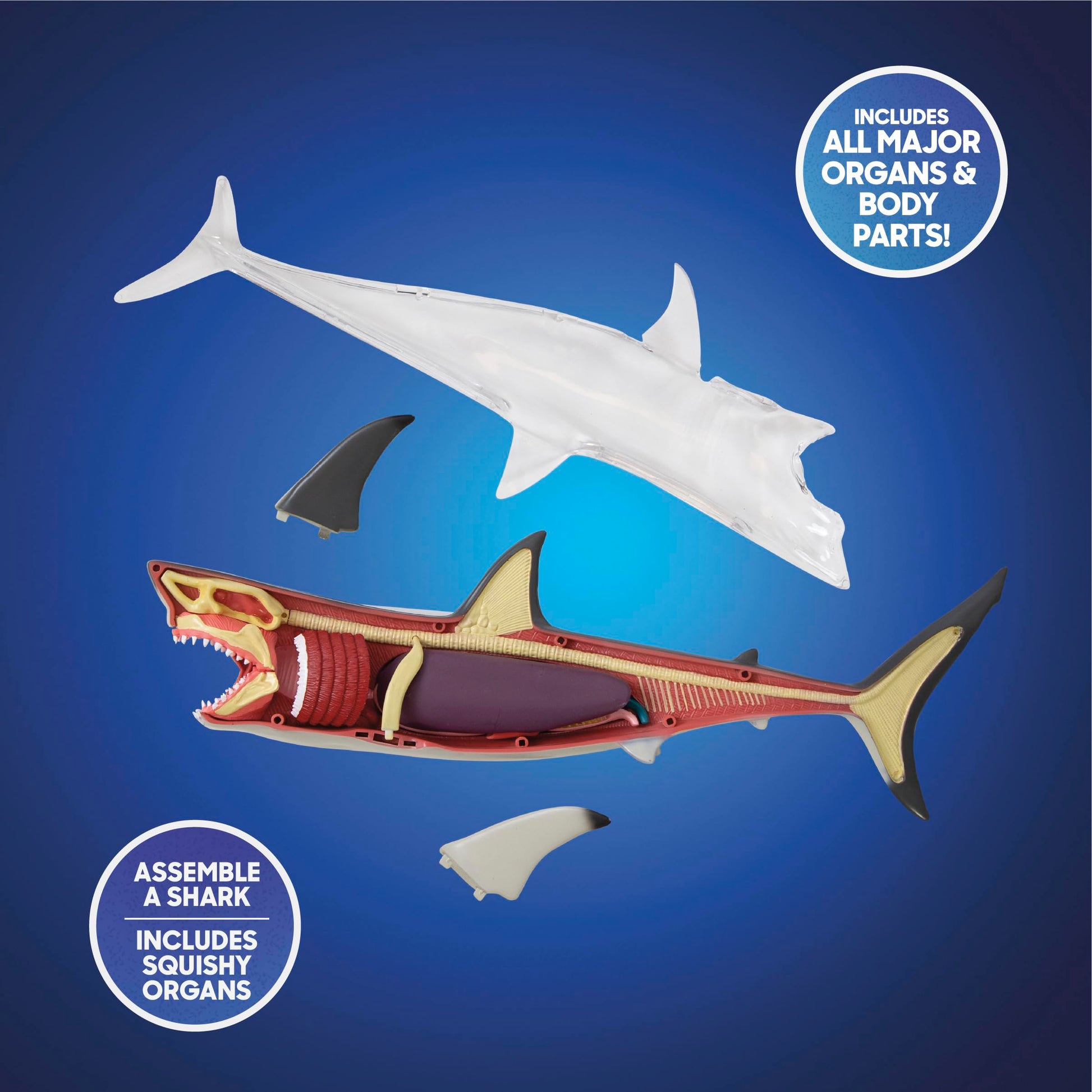 Discovery™ 4D Shark Anatomy Kit| Interactive Model Building Set with Display Stand| STEM Biology Science Kit| Fun Activity Puzzle| Ocean Sea Creature