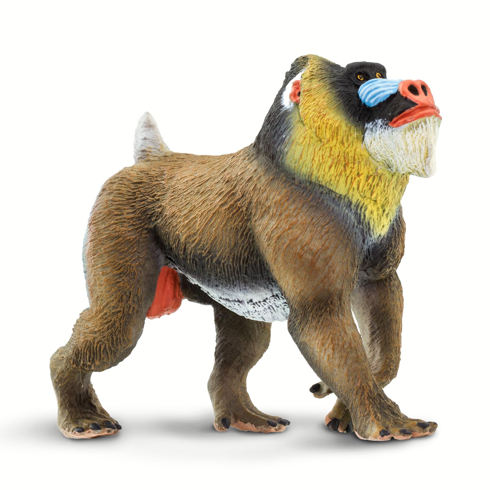Safari Ltd. Mandrill - Realistic 3.75" Baboon Figure - Educational Toy for Boys, Girls, and Kids Ages 3+