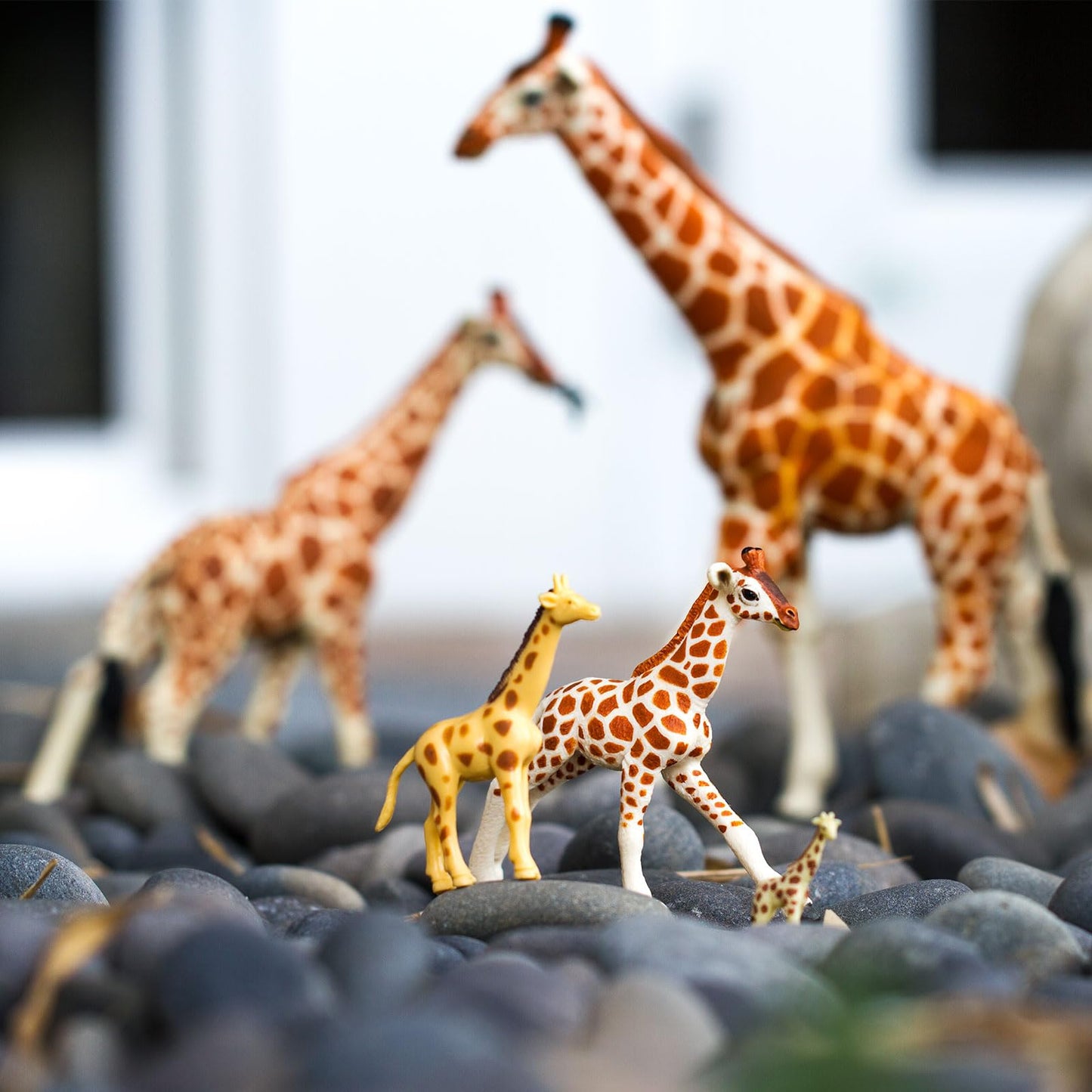Safari Ltd. Reticulated Giraffe Baby Figurine - Detailed 3.7" Model Figure - Educational Toy for Boys, Girls, and Kids Ages 3+