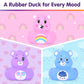 Care Bears Rubber Ducks - Collectible Character Toys for Bath, Gifting, and Car Dashboards - Cheer Bear, Grumpy Bear & Share Bear - 3 Pack