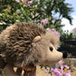 TAMMYFLYFLY Lifelike Hedgehog Plush Stuffed Animal Toy Hedgehog Cute HedgehogAnimal Model (15CM)
