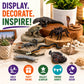 Safari Ltd. Venomous Creatures TOOB - 9 Figurines: Toad, Snake, Ray, Komodo Dragon, Tarantula, Centipede, Scorpion, Stone Fish, Cobra - Educational