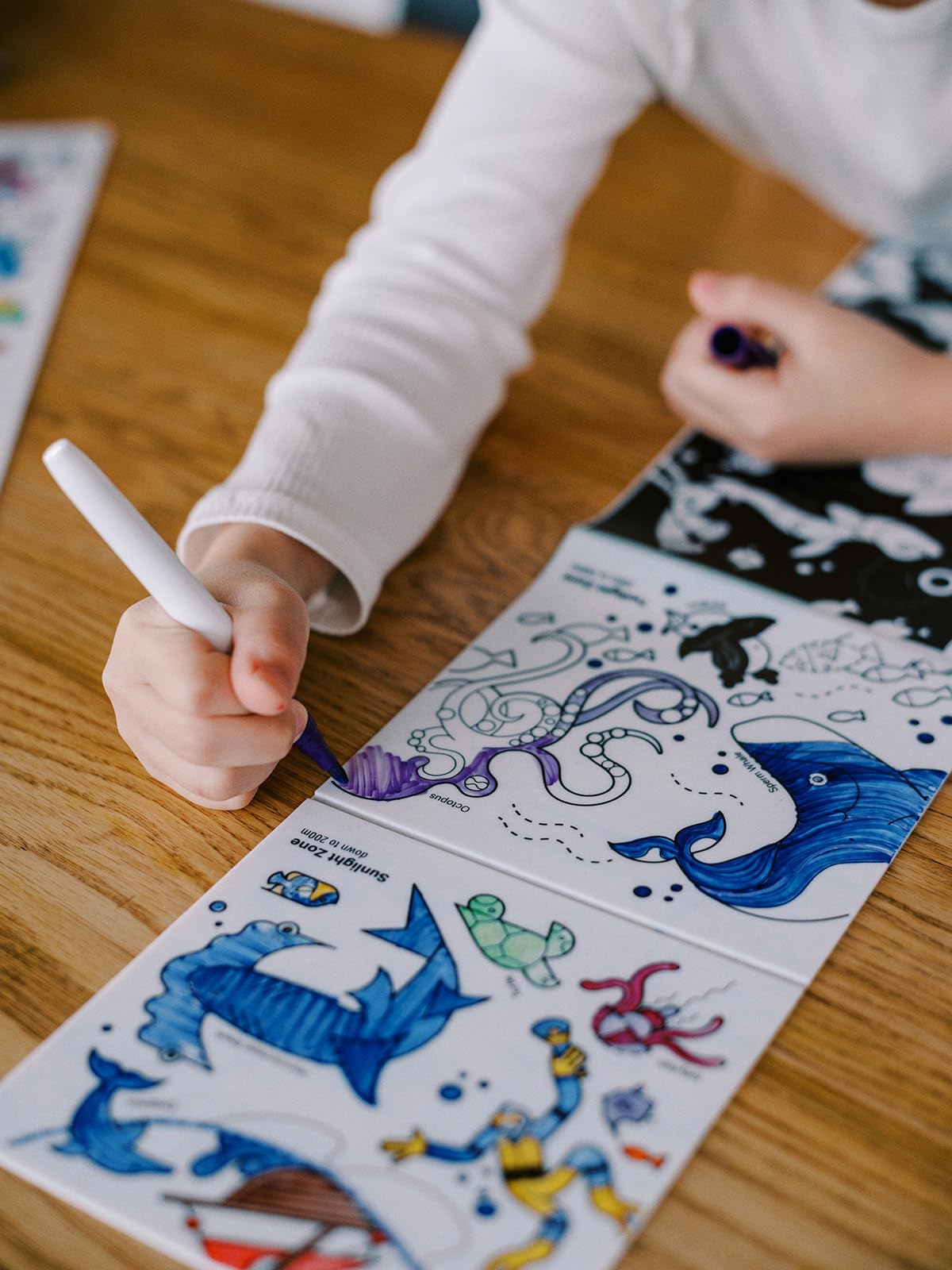 HeyDoodle Tales Foldout Book - Reusable Silicone Coloring Books for Kids Ages 3-7 with Flip Pages & Educational Themes - Coloring Kit Includes 12