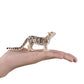 MOJO Clouded Leopard Rare Realistic International Wildlife Hand Painted Toy Figurine