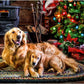 Buffalo Games - Dogs Under the Tree - 300 Large Piece Puzzle for Adults
