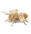 Puzzled 3D Puzzle Honeybee Wood Craft Construction Model Kit, Unique & Educational DIY Wooden Insect Toy Assemble Bee Model Unfinished Crafting Hobby