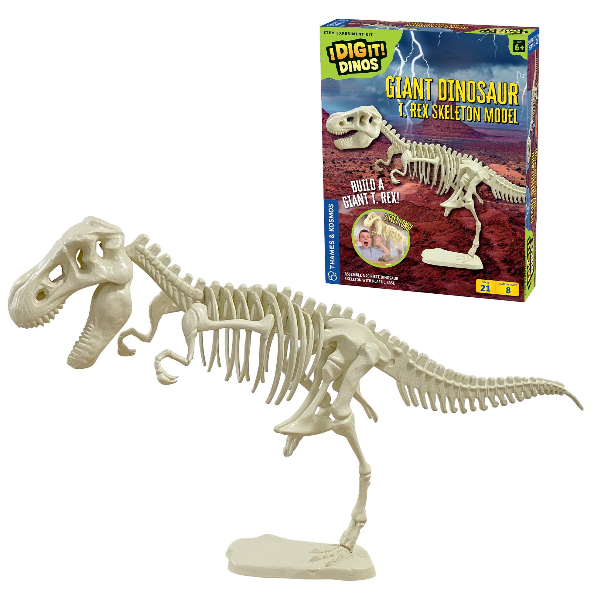 Thames & Kosmos Giant Dinosaur: T. Rex Skeleton Model | STEM Activity | Build a 26-in Long T. Rex Skeleton | Explore Paleontology & Learn Fun Dino