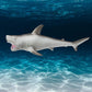 Epic Toysmith Great White Shark - Giant Realistic Marine Ocean Animal Play Toy Figure for Kids (21 inches Long), 7920