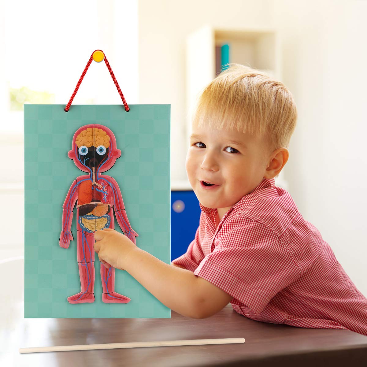 Human Body Puzzle for Kids Toddlers 90PCS Magnetic Boy Girl Anatomy Play Set Body Parts Organs Muscles Skeleton and Bones Wooden Puzzle Toys Aged 3+
