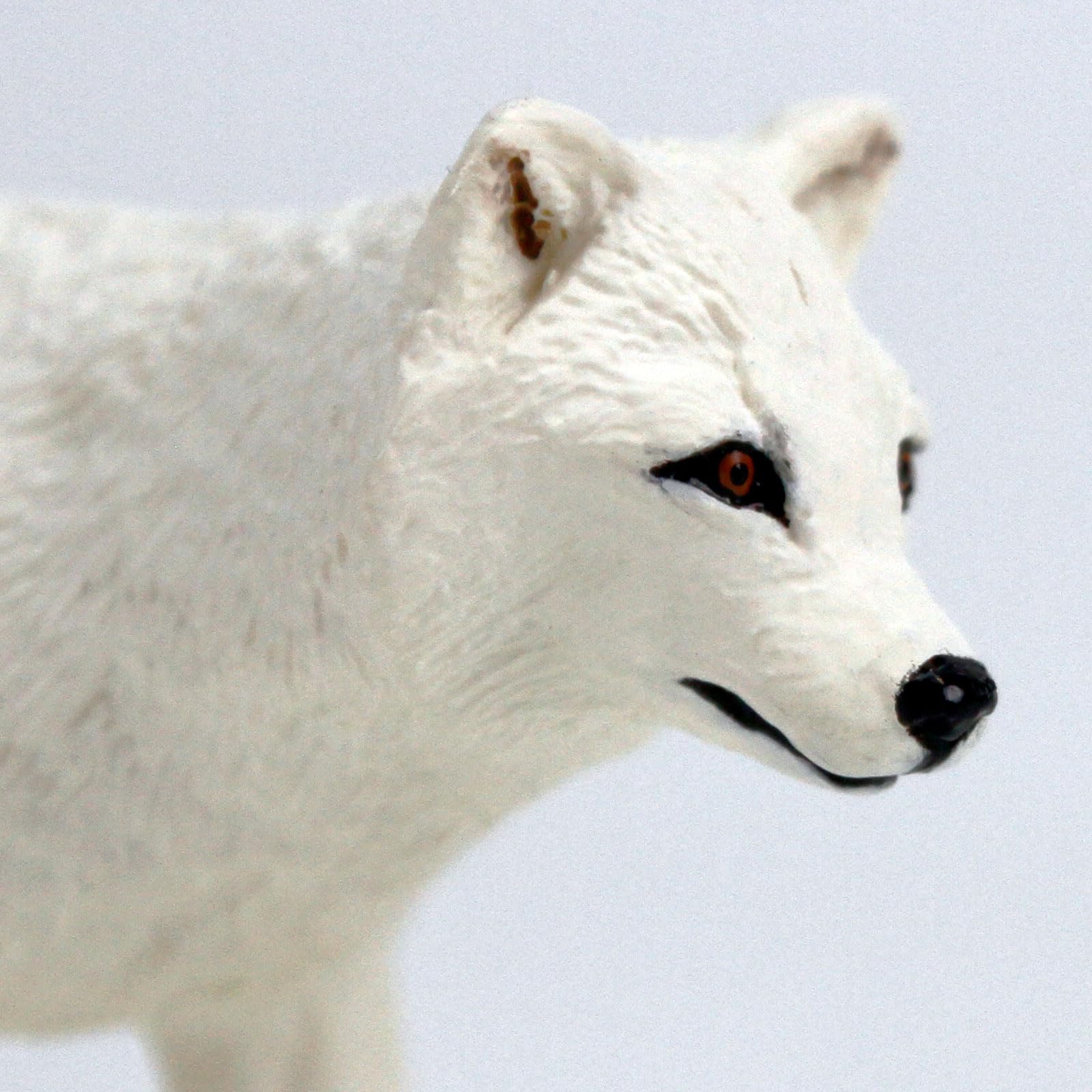 Safari Ltd. Arctic Fox Toy Figure | North American Wildlife Collection | Non-Toxic and BPA Free | Toy Animals | Suitable for Ages 3 and Up