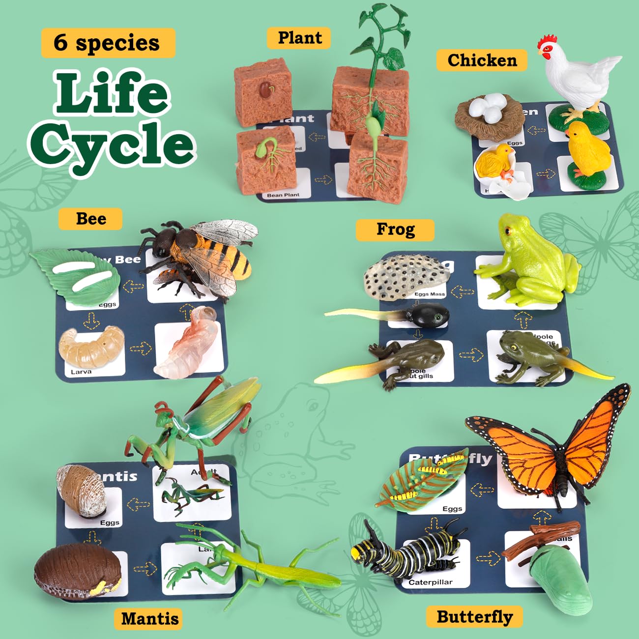 Life Cycle Learning Toys for Kids: Life Science Education Kits with Butterfly, Frog, Chicken, Mantis, Bee, Plants - 25 Pieces Animal Figurines