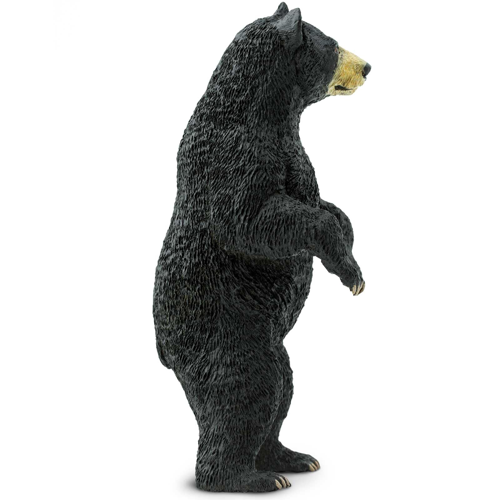 Safari Ltd. Standing Black Bear Figurine - Lifelike 4" Model Figure - Educational Toy for Boys, Girls, and Kids Ages 3+