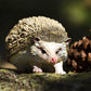 Safari Ltd. Hedgehog Figurine - Detailed 3.5" Plastic Model Figure - Fun Educational Play Toy for Boys, Girls & Kids Ages 18M+